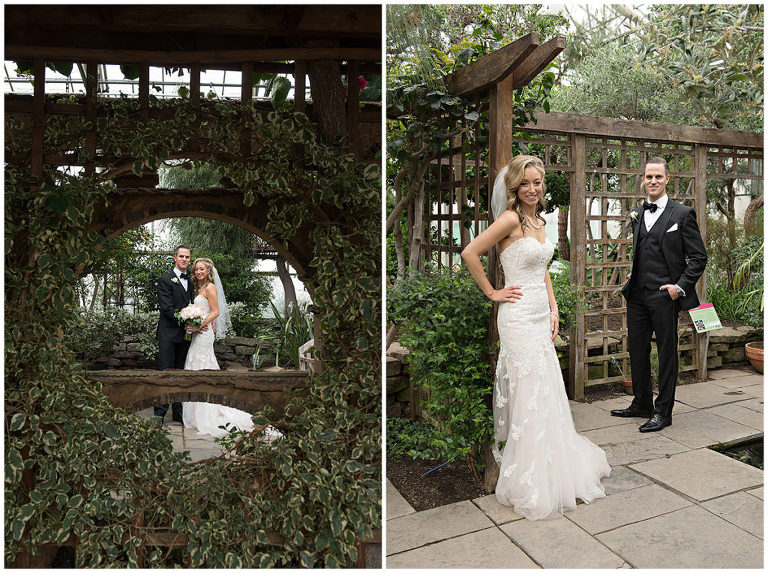 Bride and Groom Photos